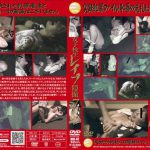 女子校生 レイプ隠撮 7